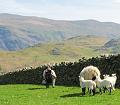 Rondje Lake District op 3-5-2012 (197)